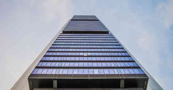 外国语单招大数据的行业文章