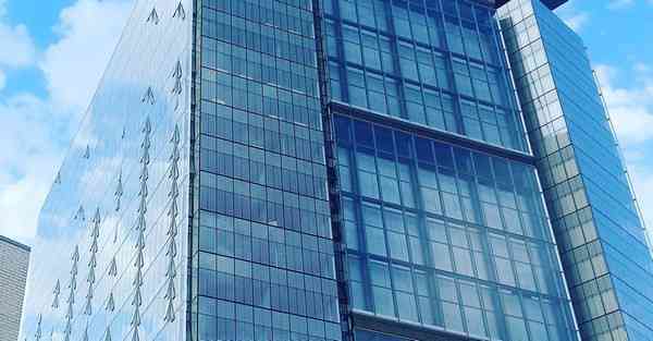 仿真智能机器人女友：现实与潜力