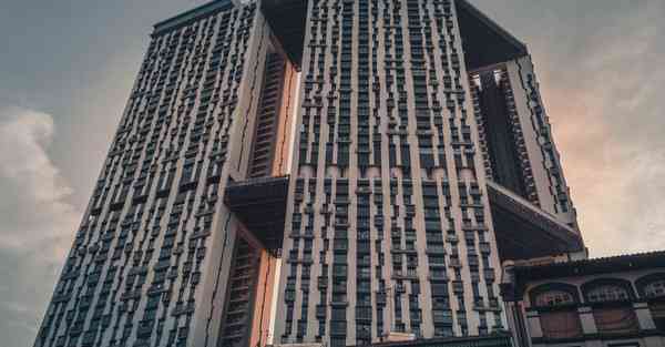 隆宸星人工智能（深圳市隆宸科技）