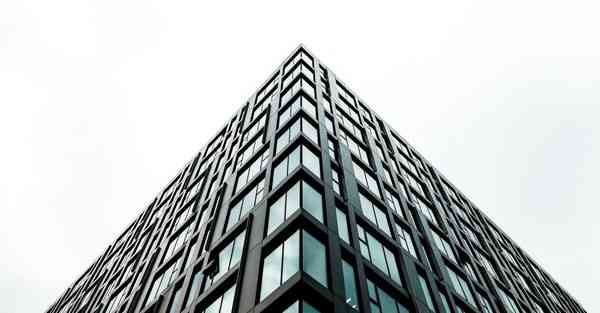 全自动智能宠物机器人 宠物机器人COZMO