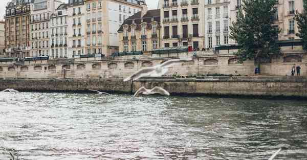 最早的服务型智能机器人