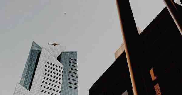 外国语单招大数据的行业文章