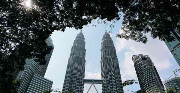 外国语单招大数据的行业文章