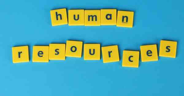 外国语单招大数据的行业文章