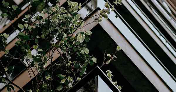 消防大数据分析