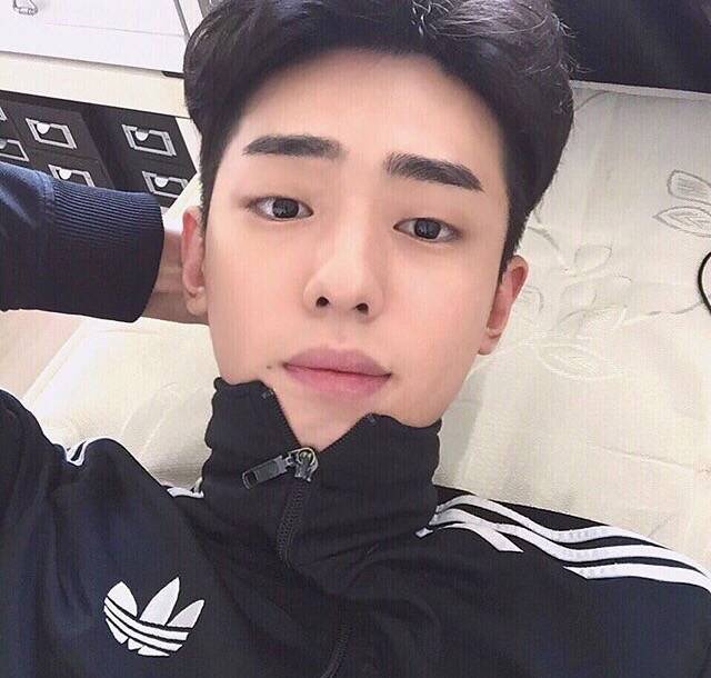 水瑞青振