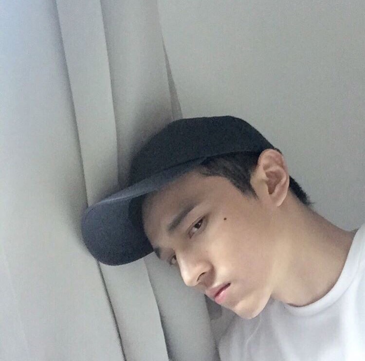 赵鹏家瑗