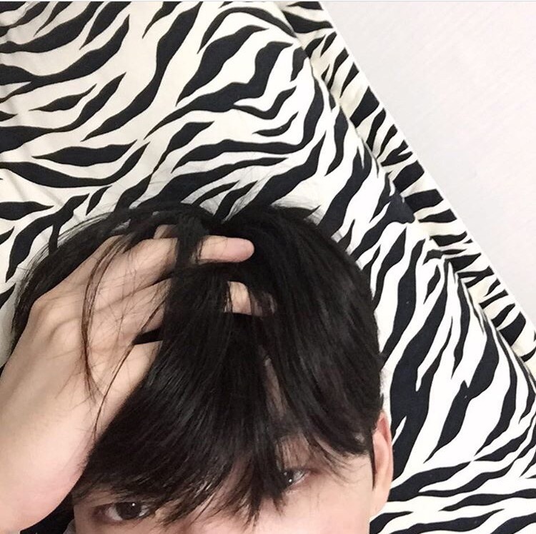 鲍艳伟唯