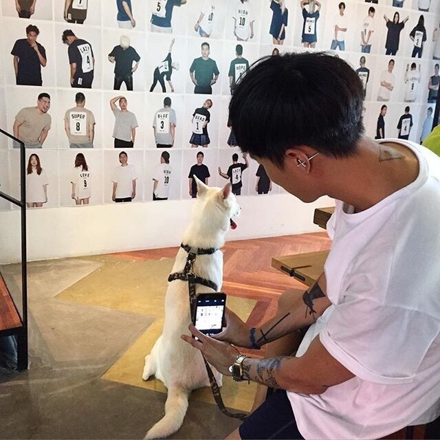 任剑承福