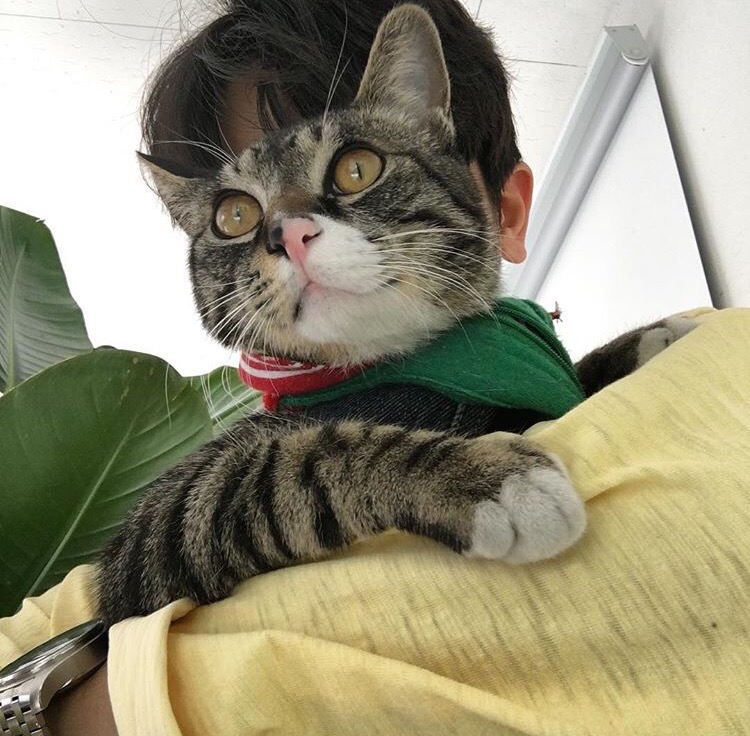 董炎东威