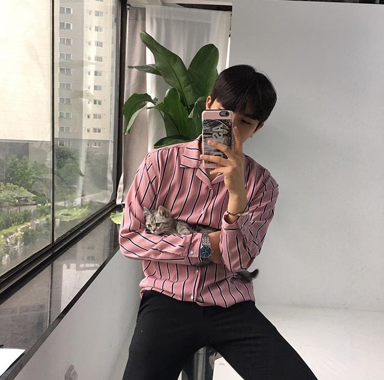 柏琛绍胜