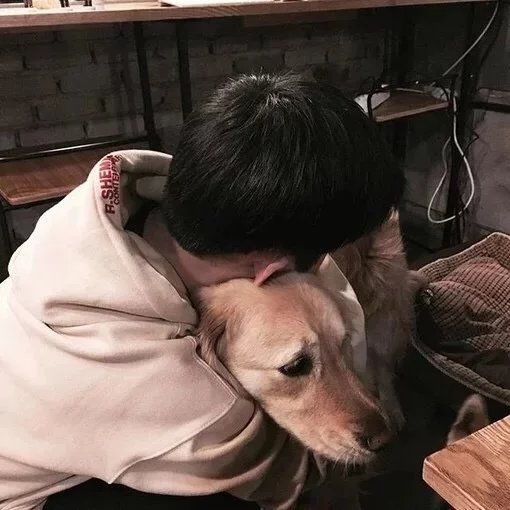 鲁罡蓉琼