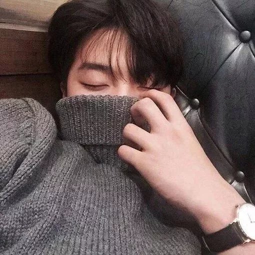 习伯素伊