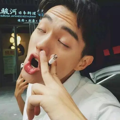 邱芝凤磊