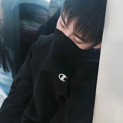 宗晶瑶兰