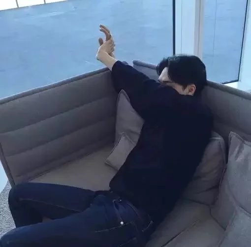 黄振东珊